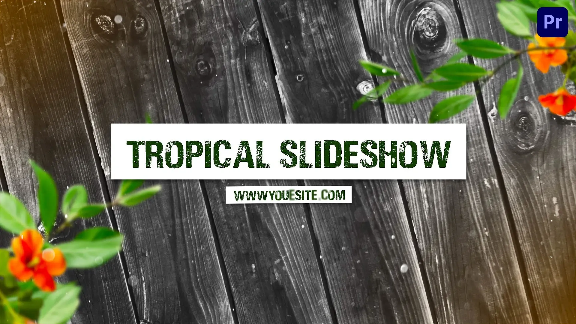 Vibrant Tropical Themed Journey Slideshow